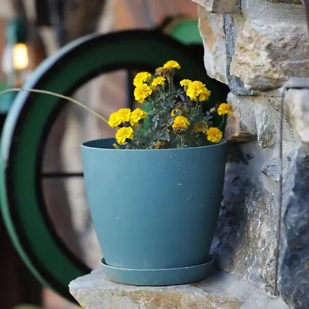 Zemljane Kucice * Kresevo